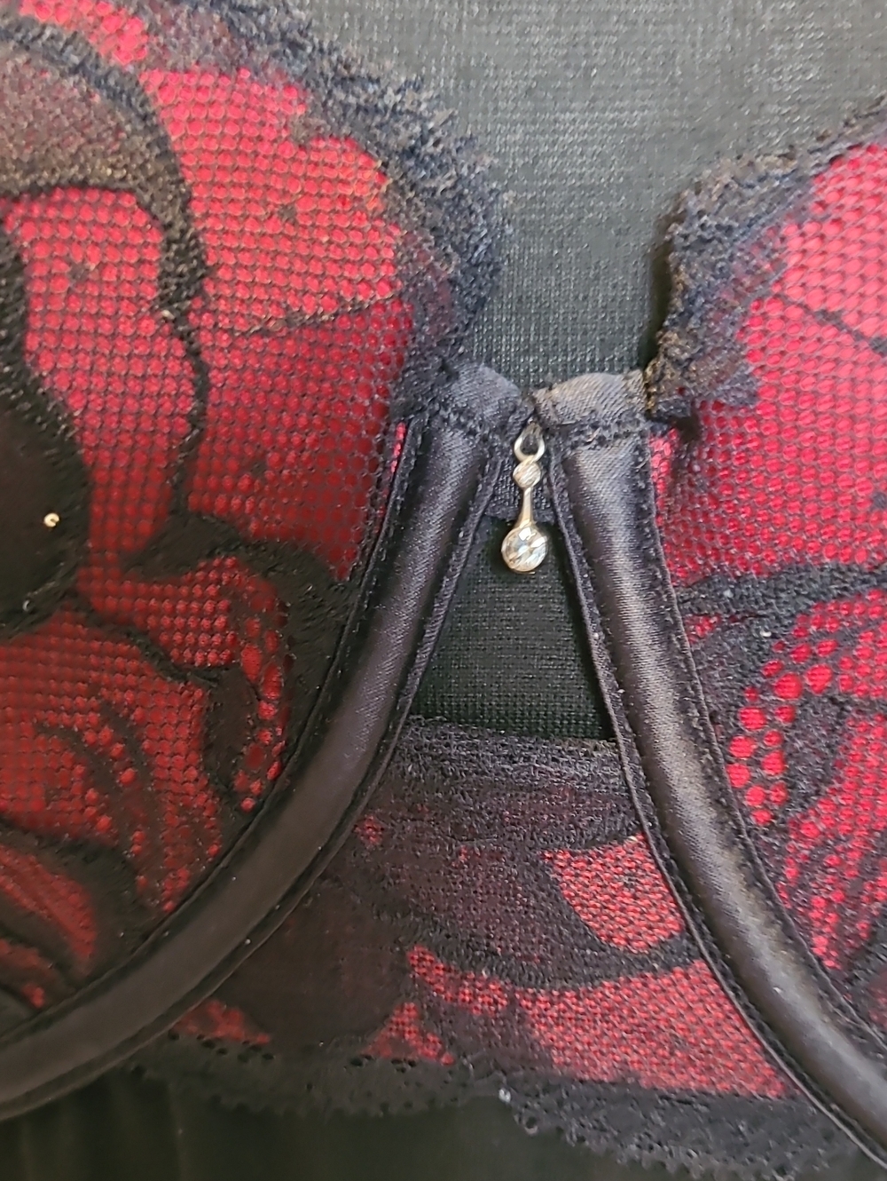 La Vie en Rose Black And Red Lace Padded Bra 34DD - Picture 4 of 12
